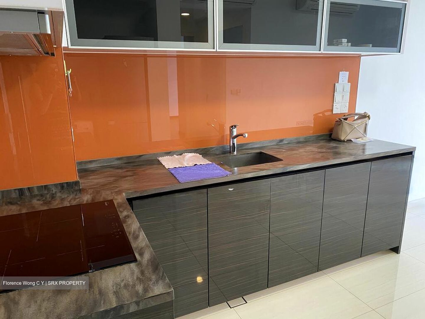 Sant Ritz (D13), Condominium #565615341